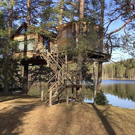 Treehouse Ciekurs Villa Dukuri Екстериор снимка