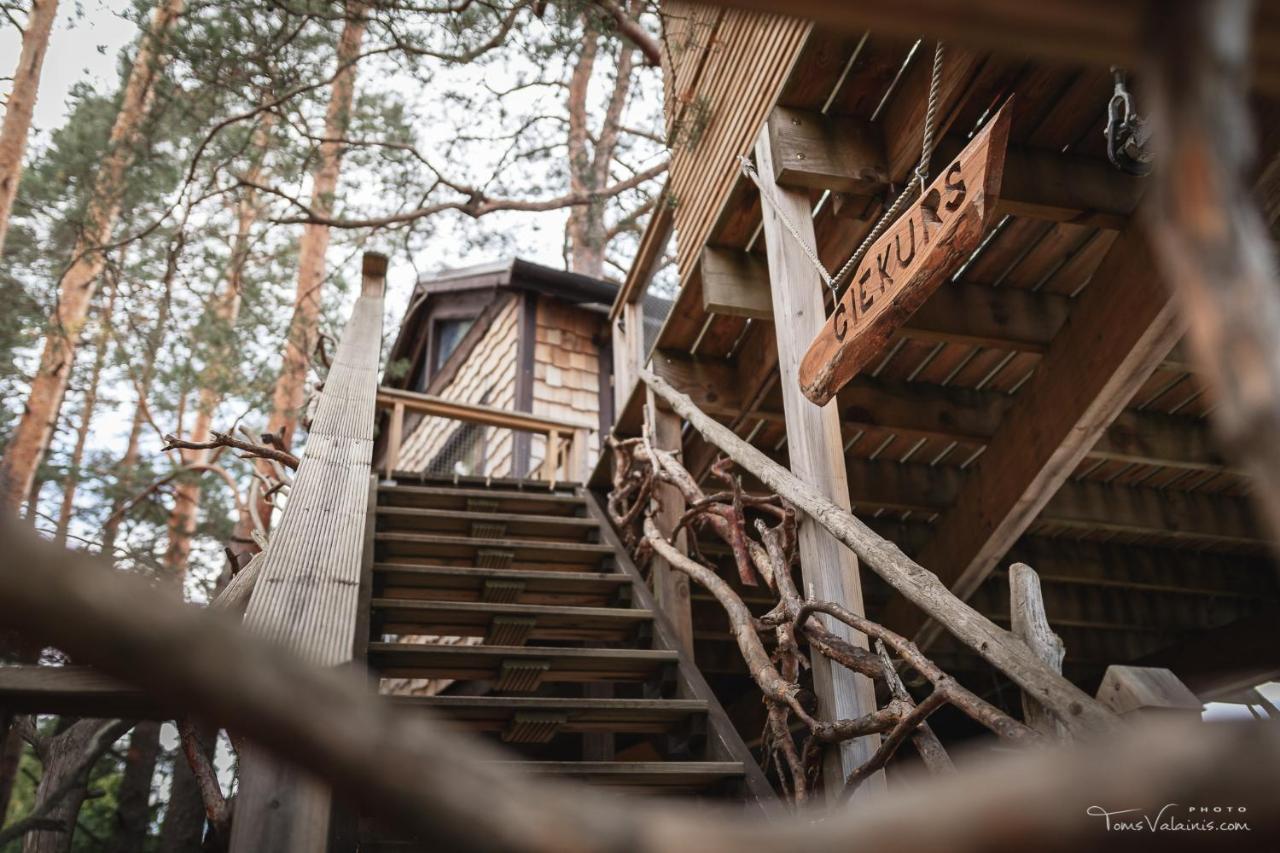 Treehouse Ciekurs Villa Dukuri Екстериор снимка