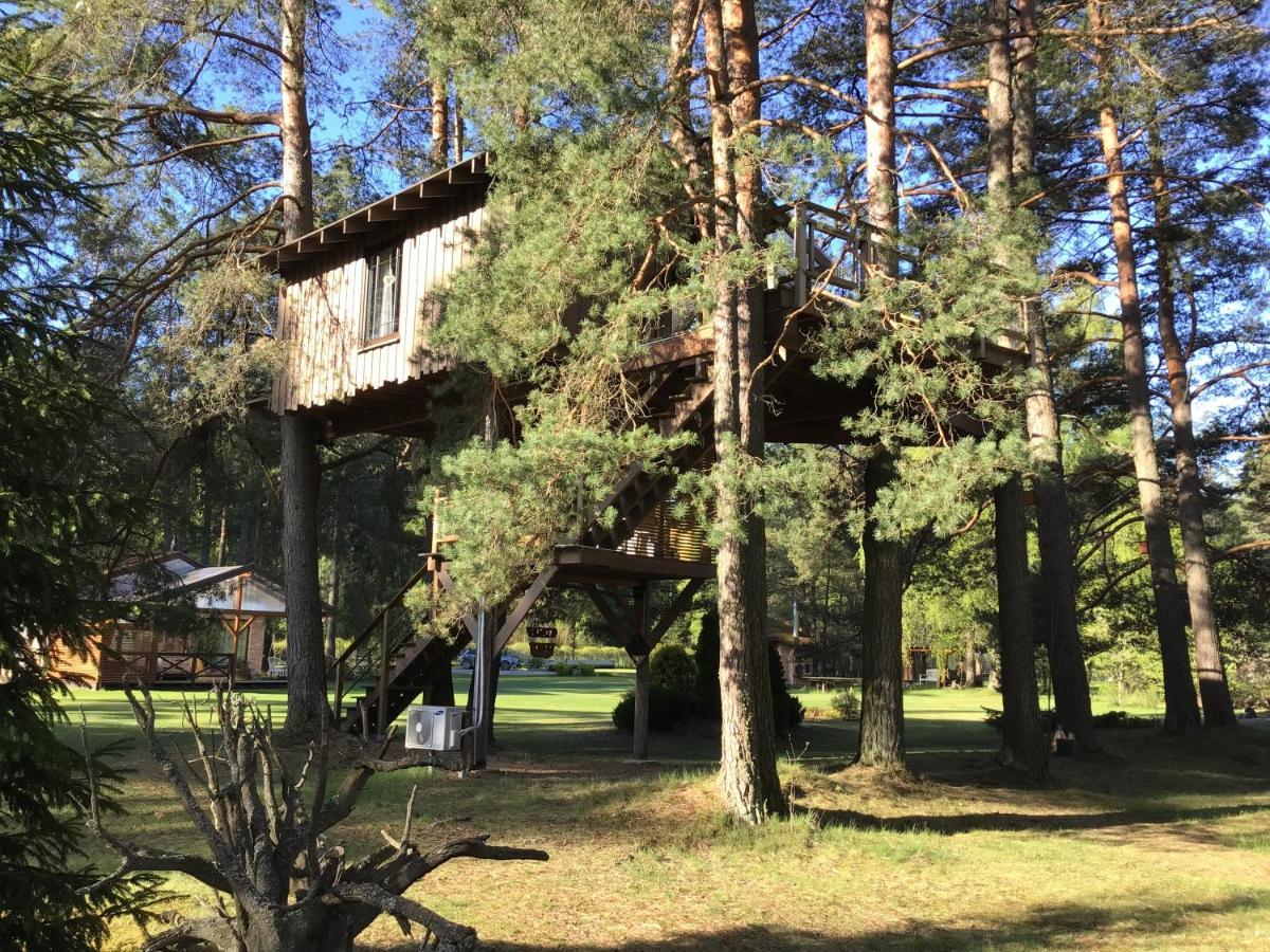 Treehouse Ciekurs Villa Dukuri Екстериор снимка