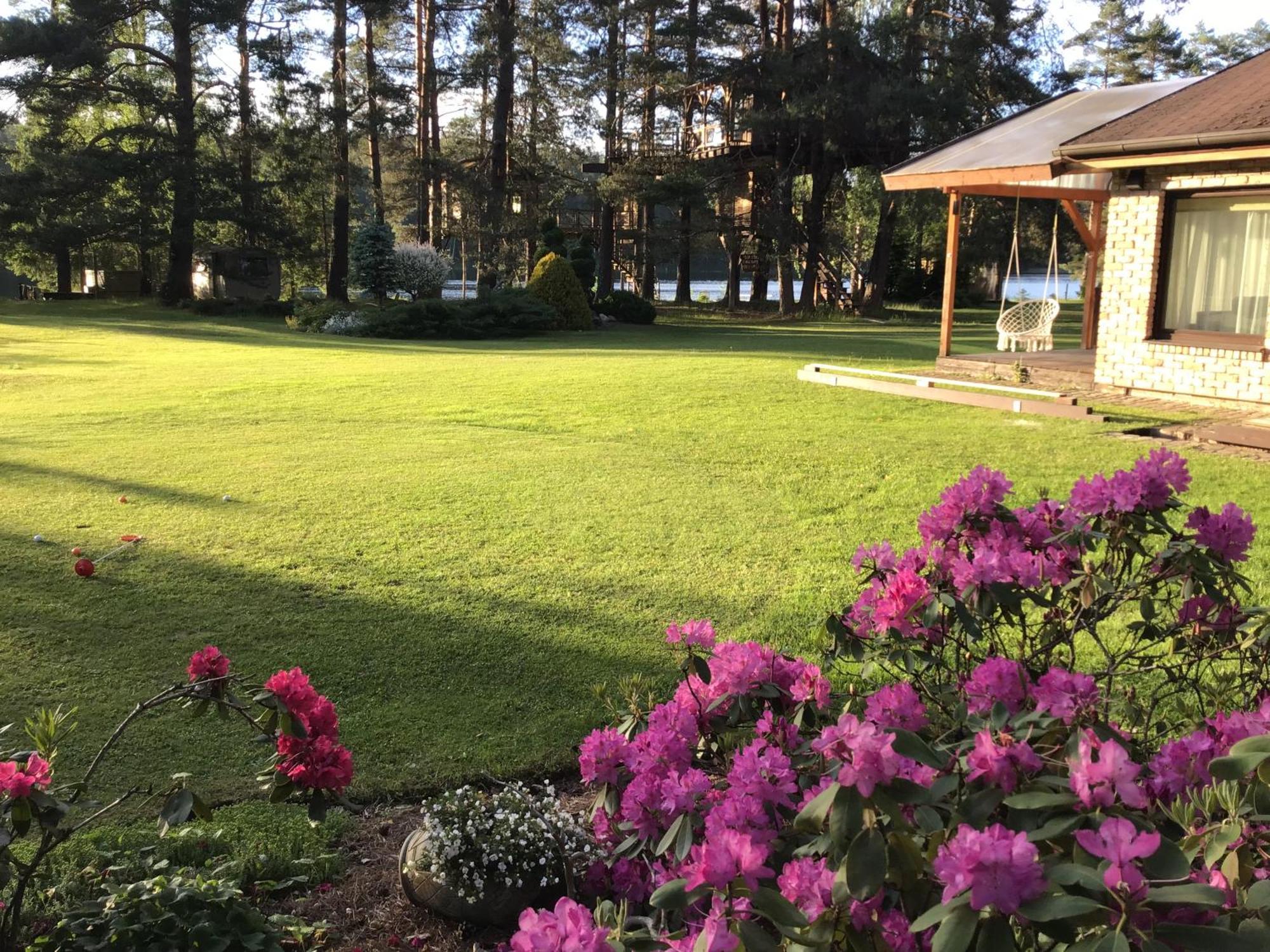 Treehouse Ciekurs Villa Dukuri Екстериор снимка
