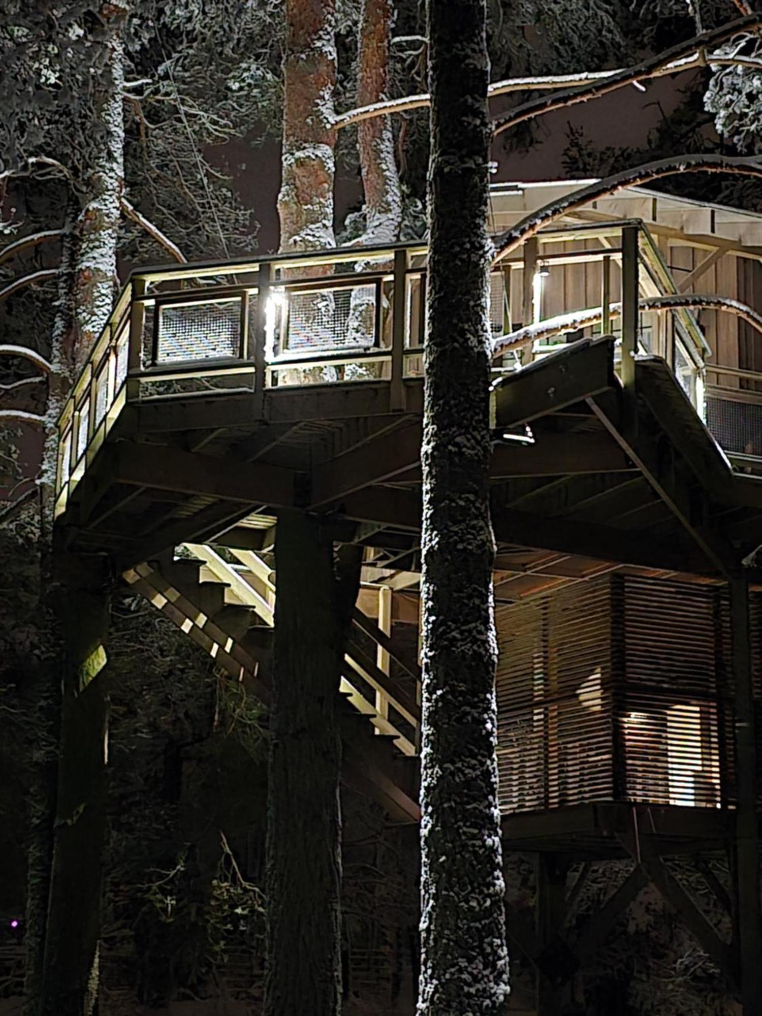 Treehouse Ciekurs Villa Dukuri Екстериор снимка