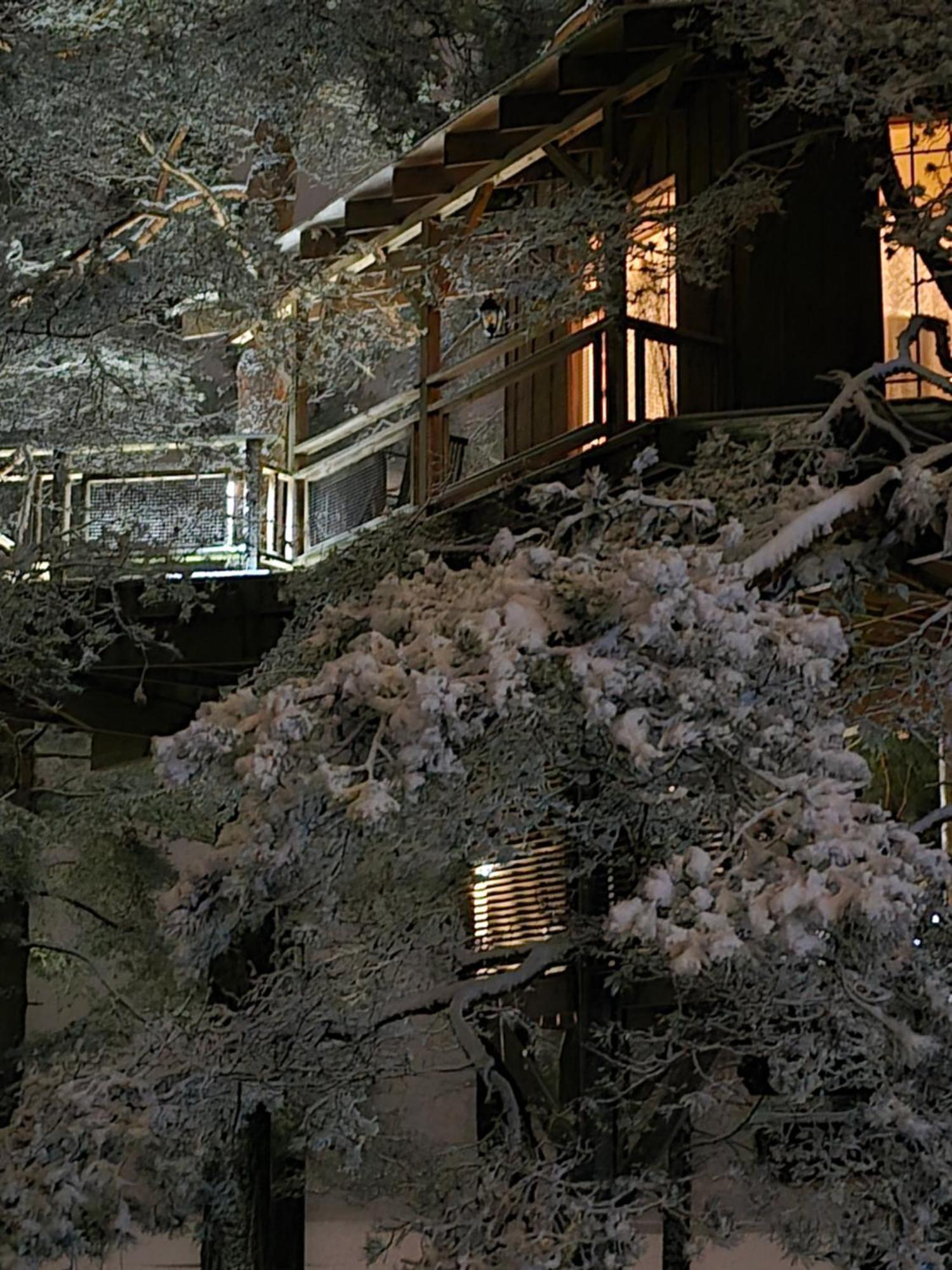 Treehouse Ciekurs Villa Dukuri Екстериор снимка