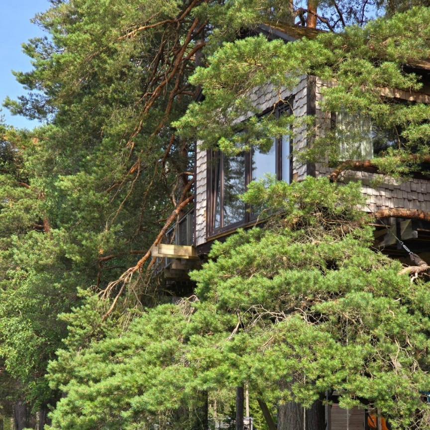 Treehouse Ciekurs Villa Dukuri Екстериор снимка