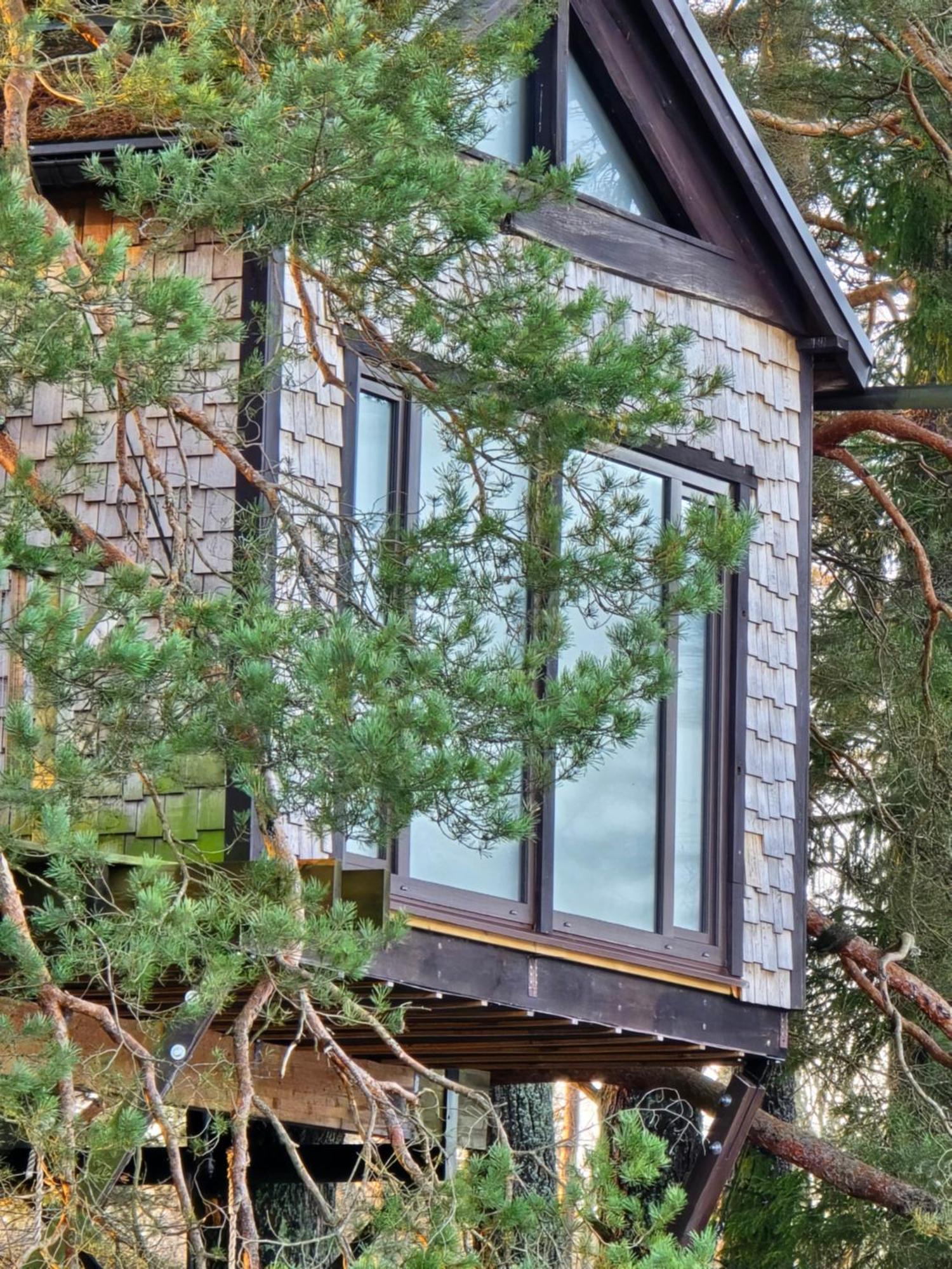 Treehouse Ciekurs Villa Dukuri Екстериор снимка