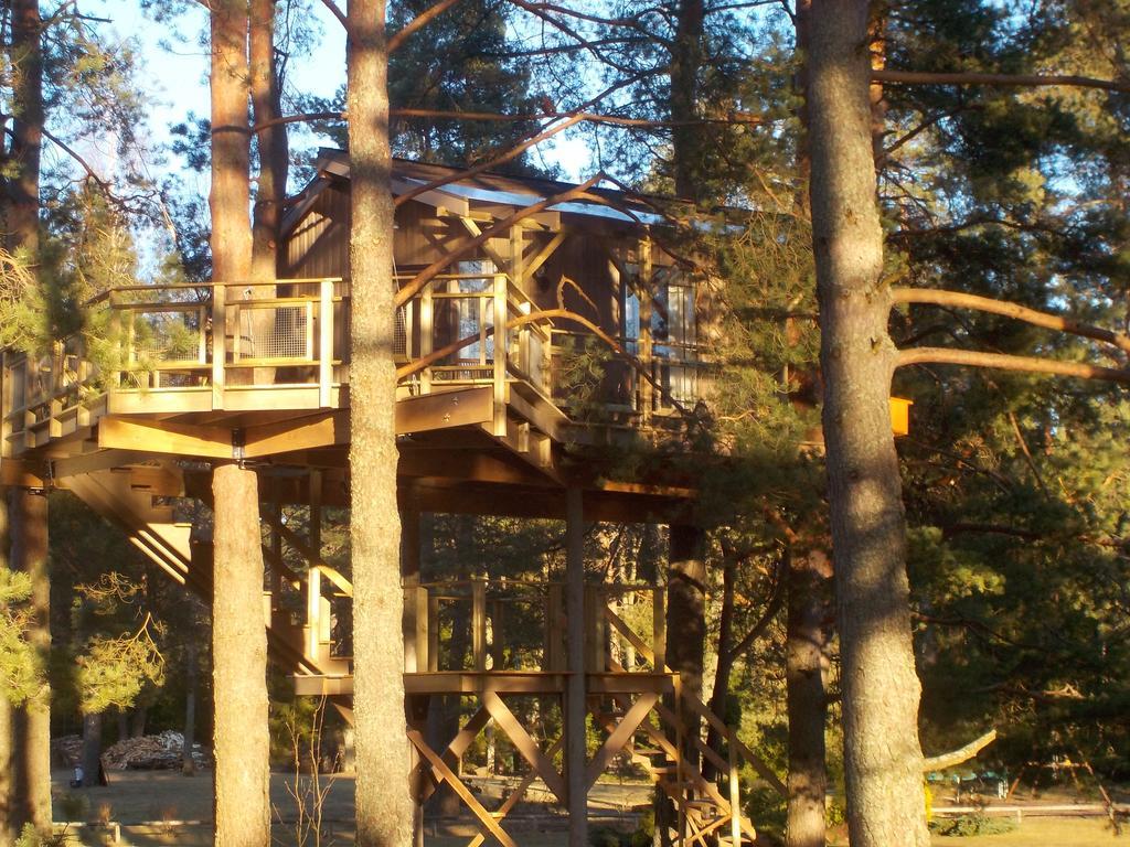 Treehouse Ciekurs Villa Dukuri Екстериор снимка