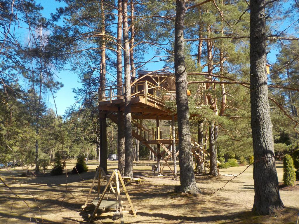 Treehouse Ciekurs Villa Dukuri Екстериор снимка