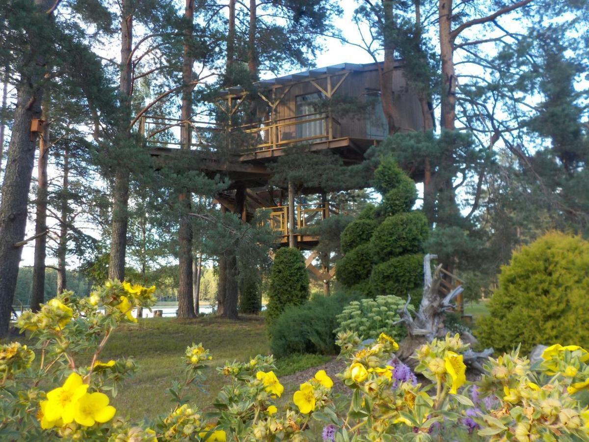 Treehouse Ciekurs Villa Dukuri Екстериор снимка